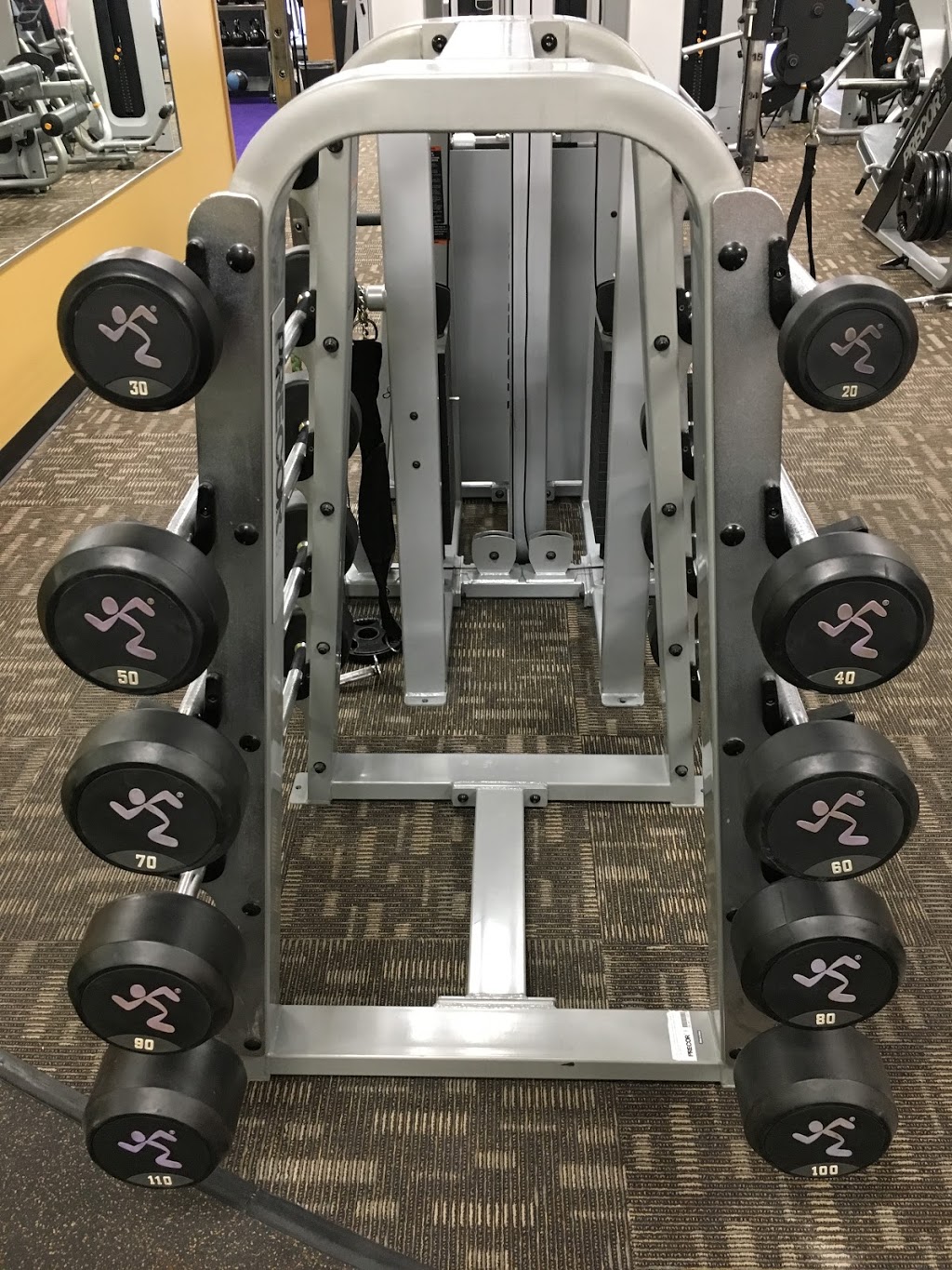 Anytime Fitness | 372 Speedvale Ave E #6, Guelph, ON N1E 1N5, Canada | Phone: (519) 265-8020