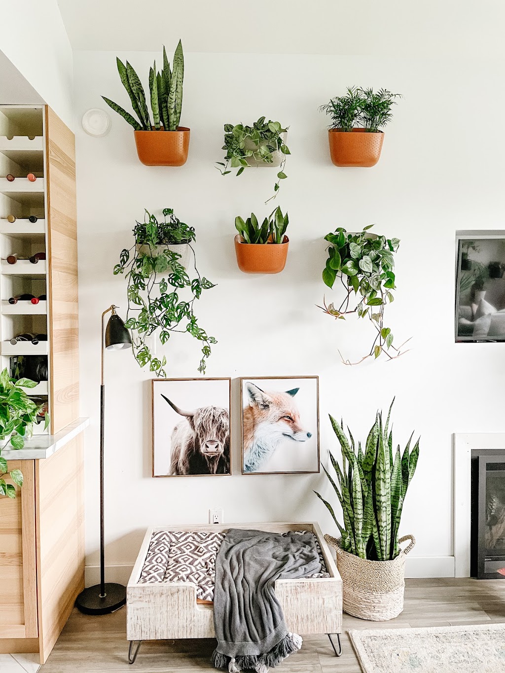 A Greener Room | 39761 Government Rd, Squamish, BC V8B 0G3, Canada | Phone: (604) 935-0737