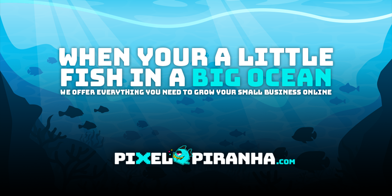 Pixel Piranha Marketing | ON-7A, Kawartha Lakes, ON L0A 1A0, Canada | Phone: (705) 760-2440