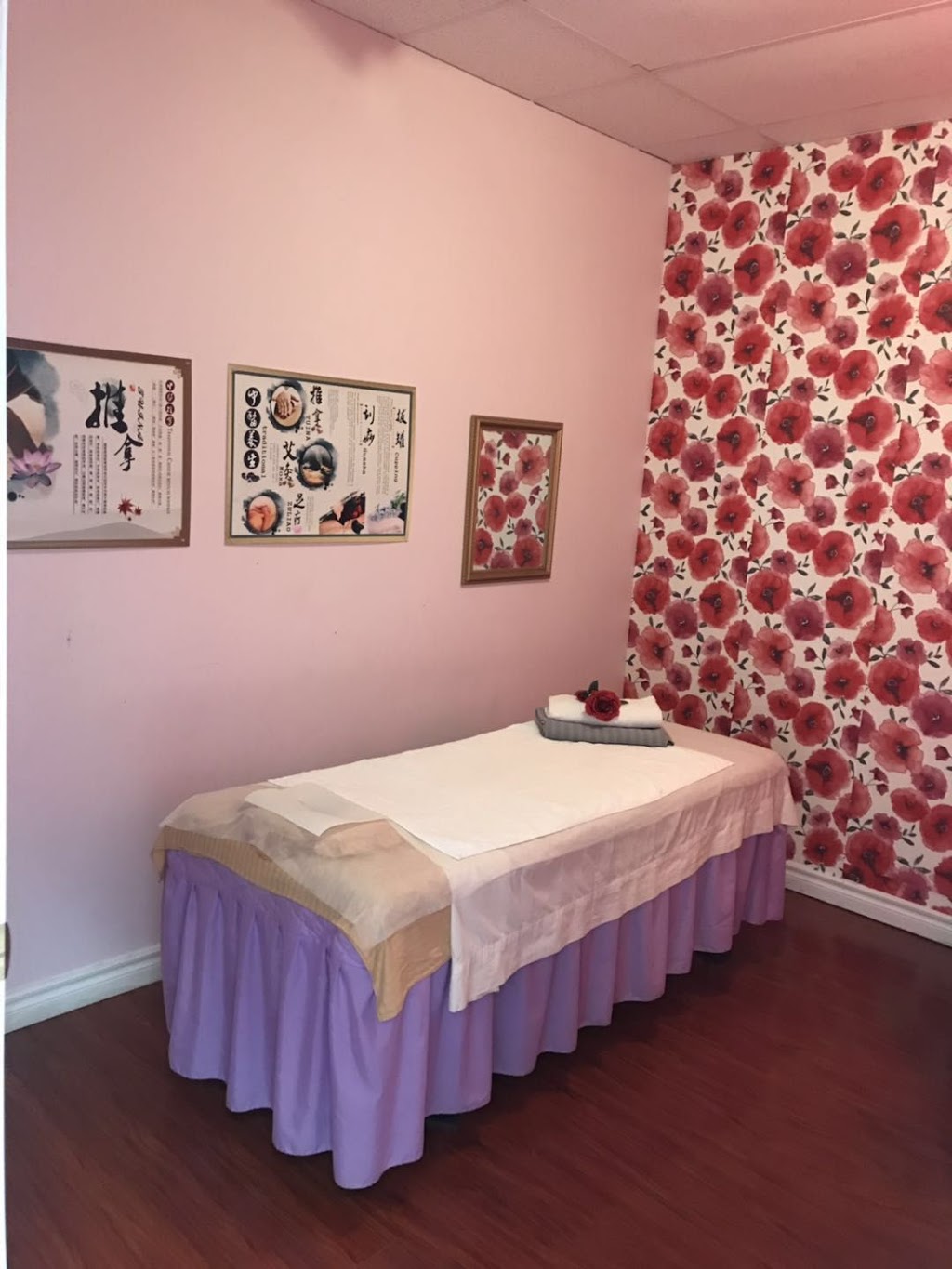 Tuina Center | 259 Hamilton Regional Rd 8, Stoney Creek, ON L8G 1E4, Canada | Phone: (905) 662-1788