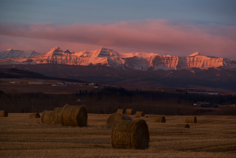 photosbygar photography | 242132 88 St E, De Winton, AB T1S 3Y3, Canada | Phone: (403) 630-0020