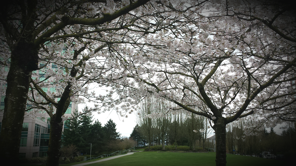 BC Hydro Edmonds | 6911 Southpoint Dr, Burnaby, BC V3N 4X8, Canada | Phone: (604) 224-9376