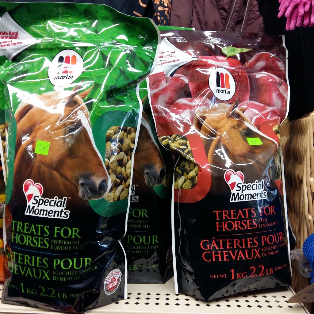 Pet Tyme-Animal Krackers! | 12281 ON-35, Minden, ON K0M 2K0, Canada | Phone: (705) 286-4893