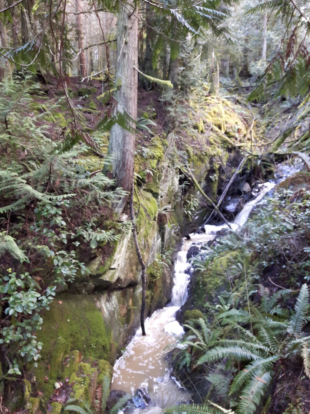 Granfield Way | Aros Rd, Cobble Hill, BC V0R 1L4, Canada | Phone: (250) 746-2500