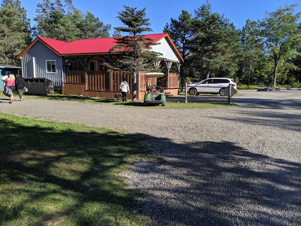 Forevergreen Country Campground | 3125 Brow Mtn. Rd, Berwick, NS B0P 1E0, Canada | Phone: (902) 691-2513