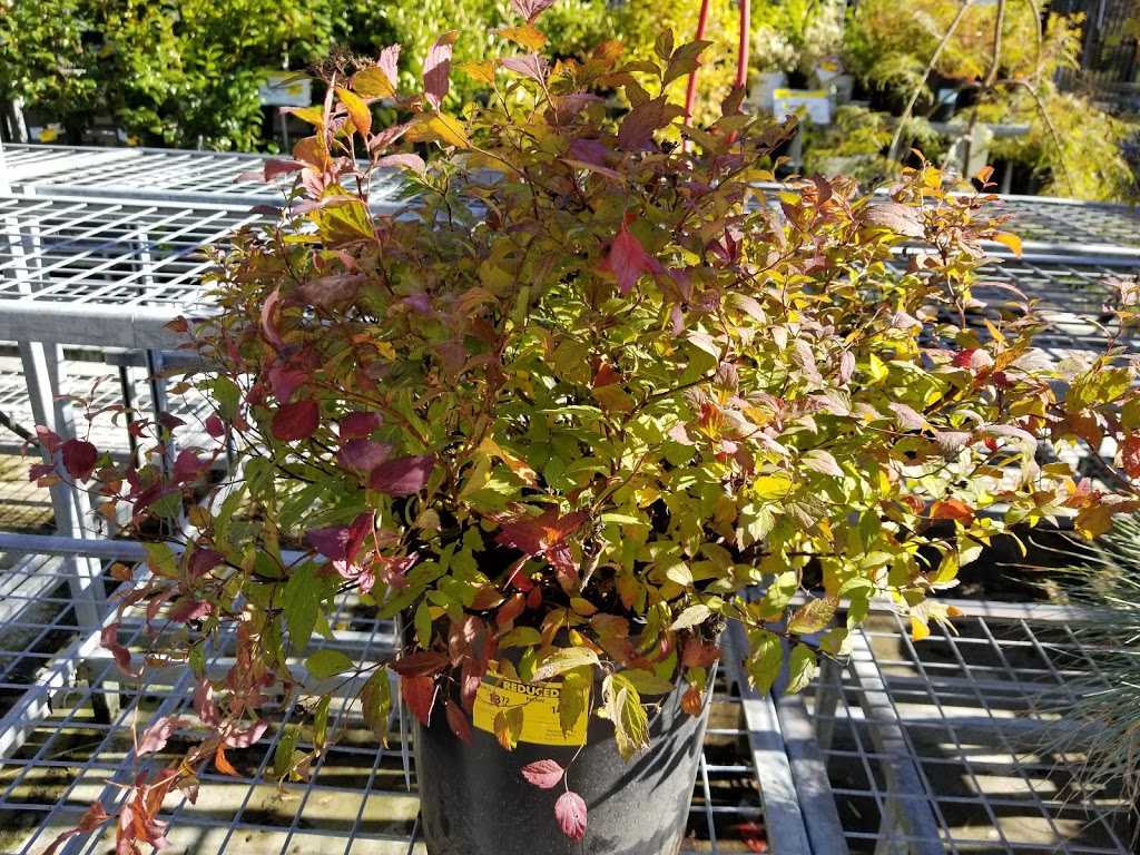 The Home Depot | 100-8443 Eagle Landing Pkwy, Chilliwack, BC V2P 0E2, Canada | Phone: (604) 703-1502