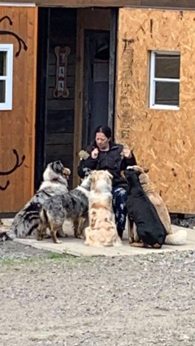 Les ti’Compagnons | Chem. du Roi, Saint-Hippolyte, QC J8A, Canada | Phone: (450) 822-4765