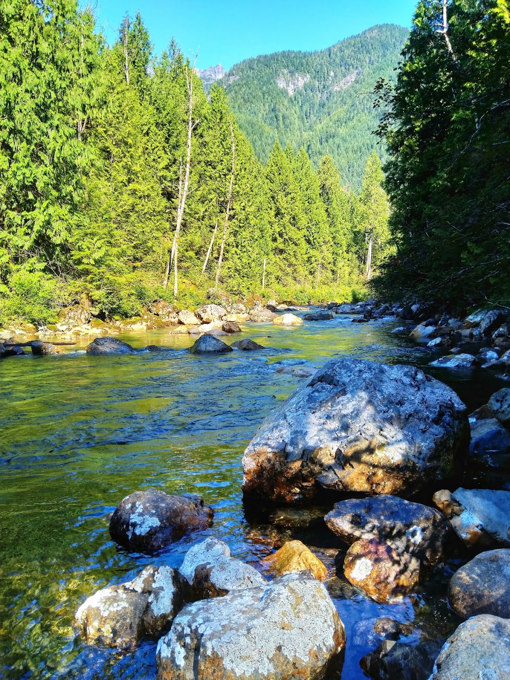 Lower Falls Trail | Lower Falls Trail, Maple Ridge, BC V0M, Canada