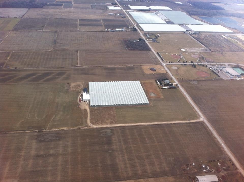 Coppola Farms | Tree Farm 1136 Seacliff Drive, Kingsville, On N9Y 2L9 Greenhouse:, 1660 Graham Side Rd, Kingsville, ON N9Y 2E4, Canada | Phone: (519) 733-5556