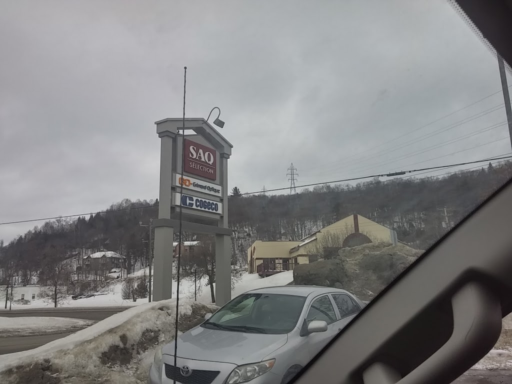 Grimard Optique - Ste-Adèle | 419 Boulevard de Sainte-Adèle, Sainte-Adèle, QC J8B 2N1, Canada | Phone: (450) 229-2822