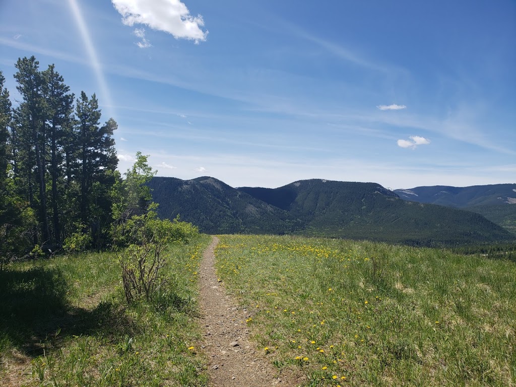 Sulphur Springs Trail | Sulphur Springs Trail, Bragg Creek, AB T0L 0K0, Canada