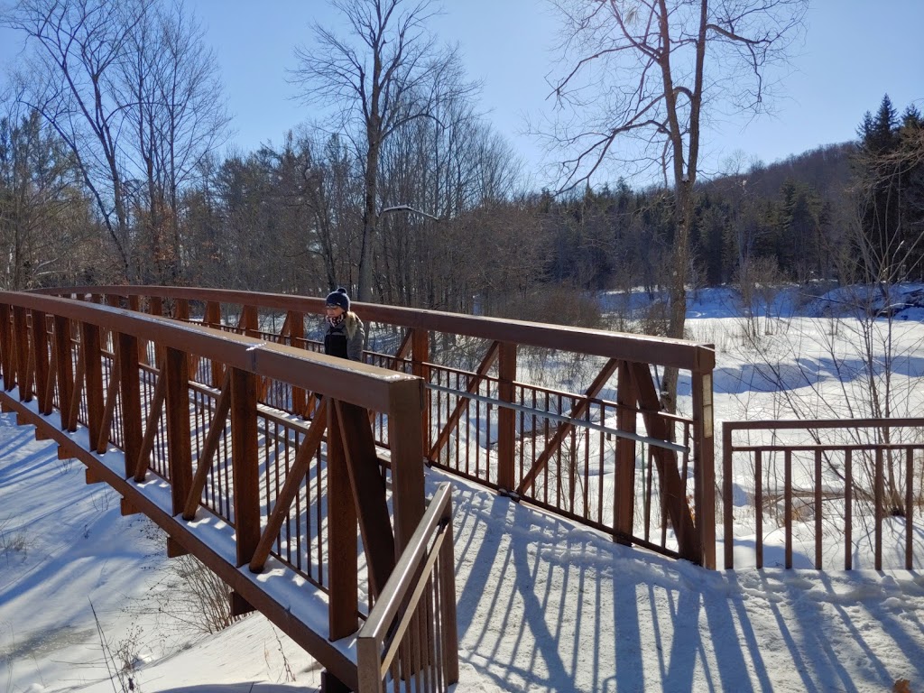 Sugarbush Trail | 33 Chemin Scott, Chelsea, QC J9B 1R5, Canada