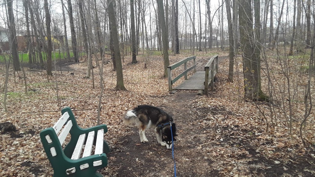 Harvey Fraser Nature Park | Cecelia St, Pembroke, ON K8A 7W9, Canada | Phone: (613) 735-6821