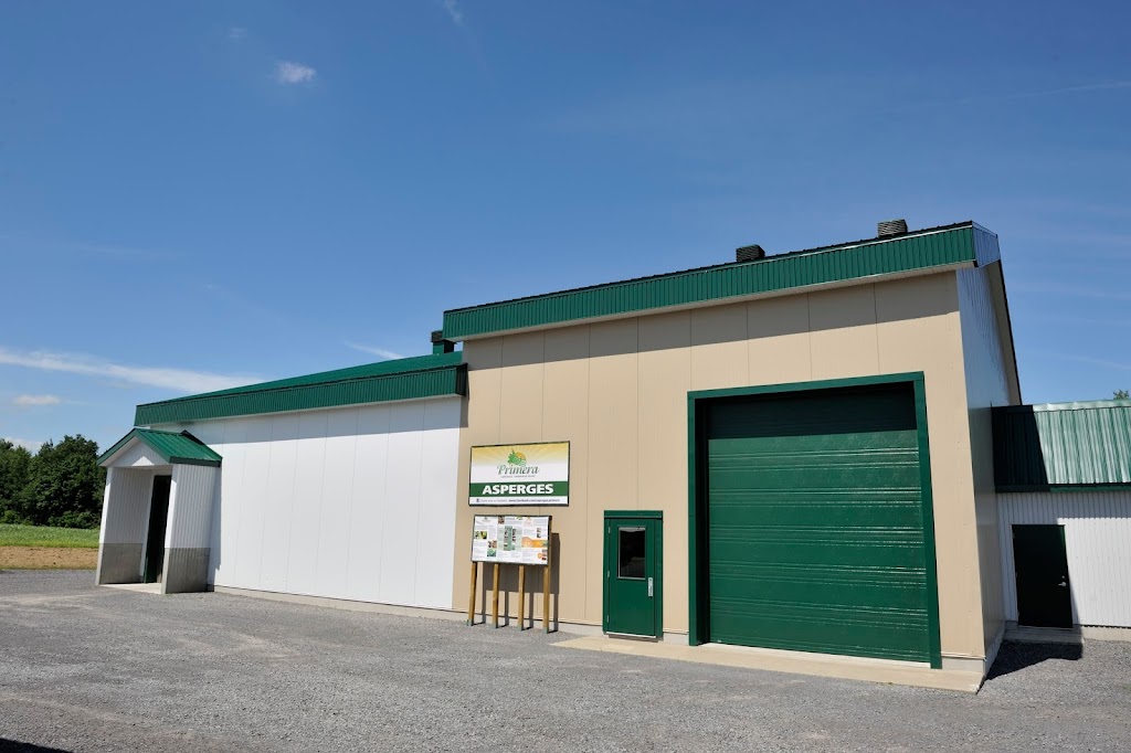 Asperges Primera | 1550 Rang St Albert, Saint-Thomas, QC J0K 3L0, Canada | Phone: (450) 803-6261