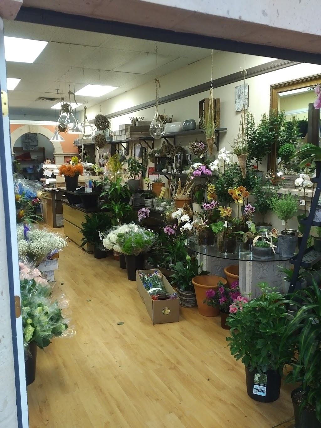 Gibsons Florist | 900 Gibsons Way, Sunnycrest Mall Unit 7, Gibsons, BC V0N 1V7, Canada | Phone: (604) 886-7795