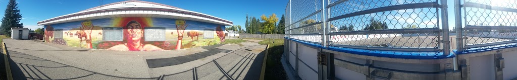Queensland Diamond Cove Community Association | 649 Queensland Dr SE, Calgary, AB T2J 4S8, Canada | Phone: (403) 278-3366