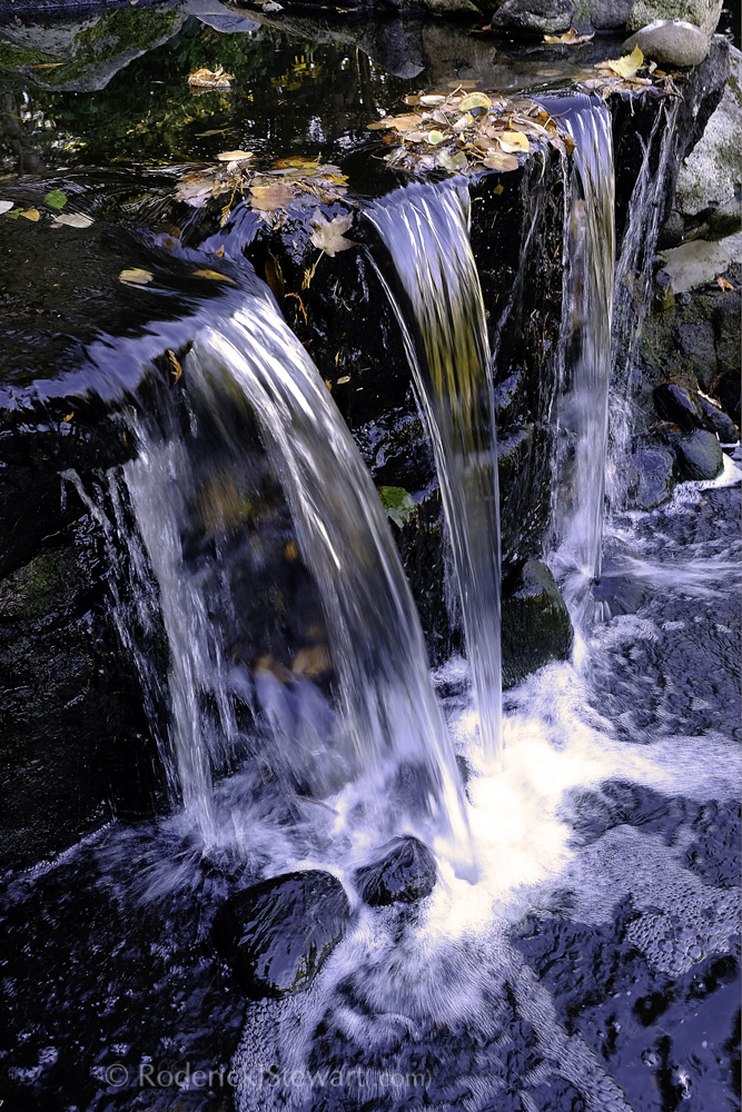 PhotoHaiku Press | 777 Cook St #215, Victoria, BC V8V 3Y9, Canada | Phone: (250) 882-3339