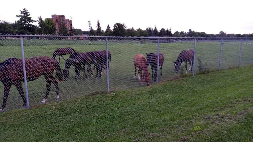 RCMP Stables | Sir George-Étienne Cartier Pkwy, Ottawa, ON K1K, Canada, Canada