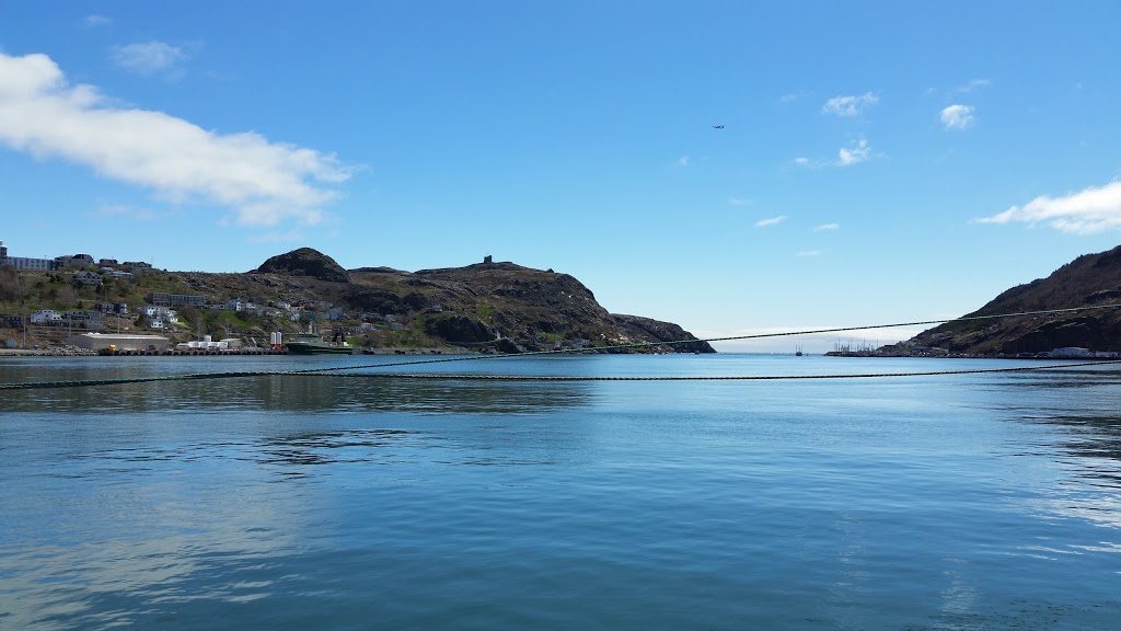 Harbourside Park | St. Johns, NL A1C 1A6, Canada | Phone: (709) 754-2489