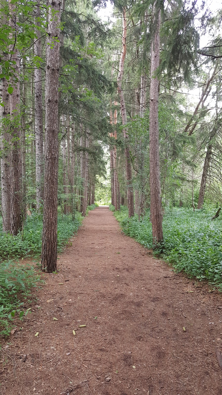 Bob Hunter Park | 113 Grand River Blvd, Scarborough, ON M1B 1G4, Canada