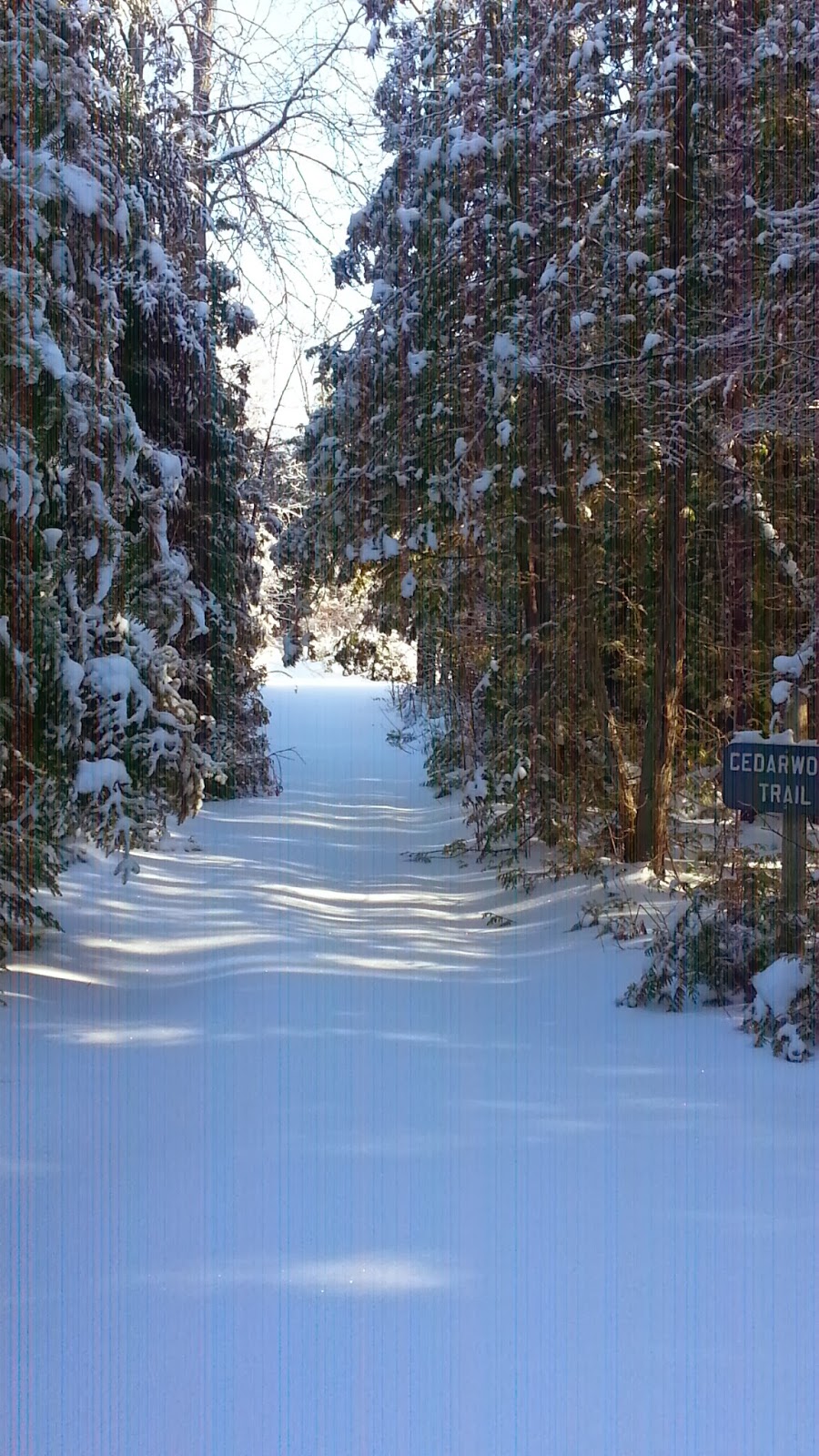 Eaglewood | 9715 Morning Glory Rd, Pefferlaw, ON L0E 1N0, Canada | Phone: (705) 437-1634