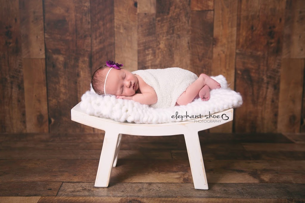 Elephant Shoe Photography | 49 Majesty Blvd, Barrie, ON L4M 0E4, Canada | Phone: (705) 715-2276