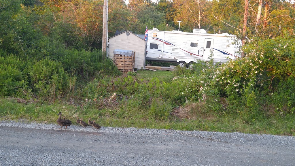 Wayside Camping Park | 10295 Peggys Cove Rd, Glen Margaret, NS B3Z 3H1, Canada | Phone: (902) 823-2547