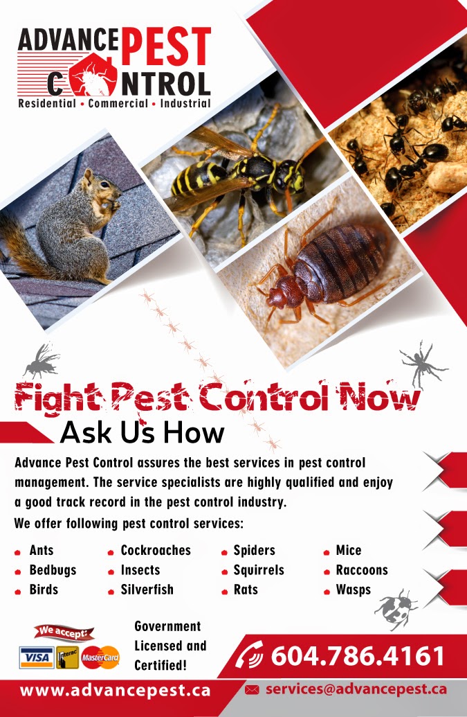 Advance Pest Control | 11795 90 Ave, Delta, BC V4C 3H5, Canada | Phone: (604) 786-4161