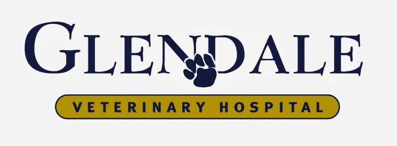 Glendale Veterinary Hospital | 4832 Charleston Sideroad, Caledon Village, ON L7K 0R8, Canada | Phone: (519) 927-9229