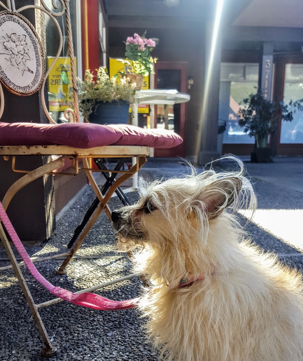 Le Petit Café | 105 - 3711 Delbrook Ave, North Vancouver, BC V7N 3Z4, Canada | Phone: (604) 971-6661