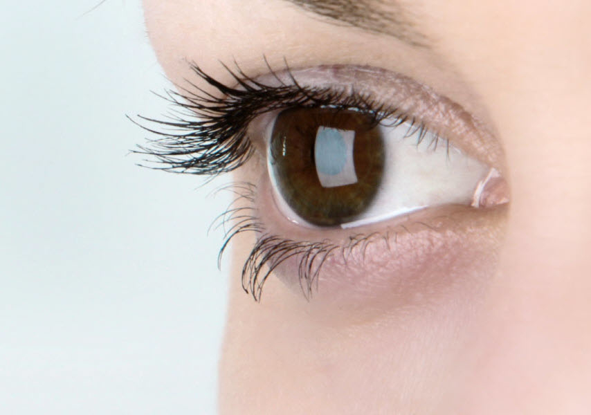 Trans Canada Vision Care | 1440 52 St NE, Calgary, AB T2A 4T8, Canada | Phone: (403) 248-2226