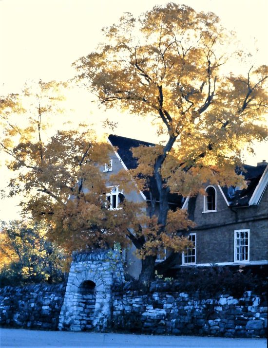 Boyd Heritage Museum | 21 Canal St E, Bobcaygeon, ON K0M 1A0, Canada | Phone: (705) 738-9482