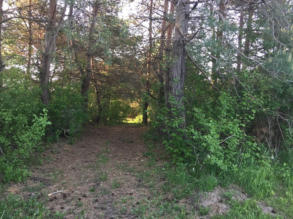 Moose Lake Campground | 134 S Range Rd, Marysville, MI 48040, USA | Phone: (810) 650-5292