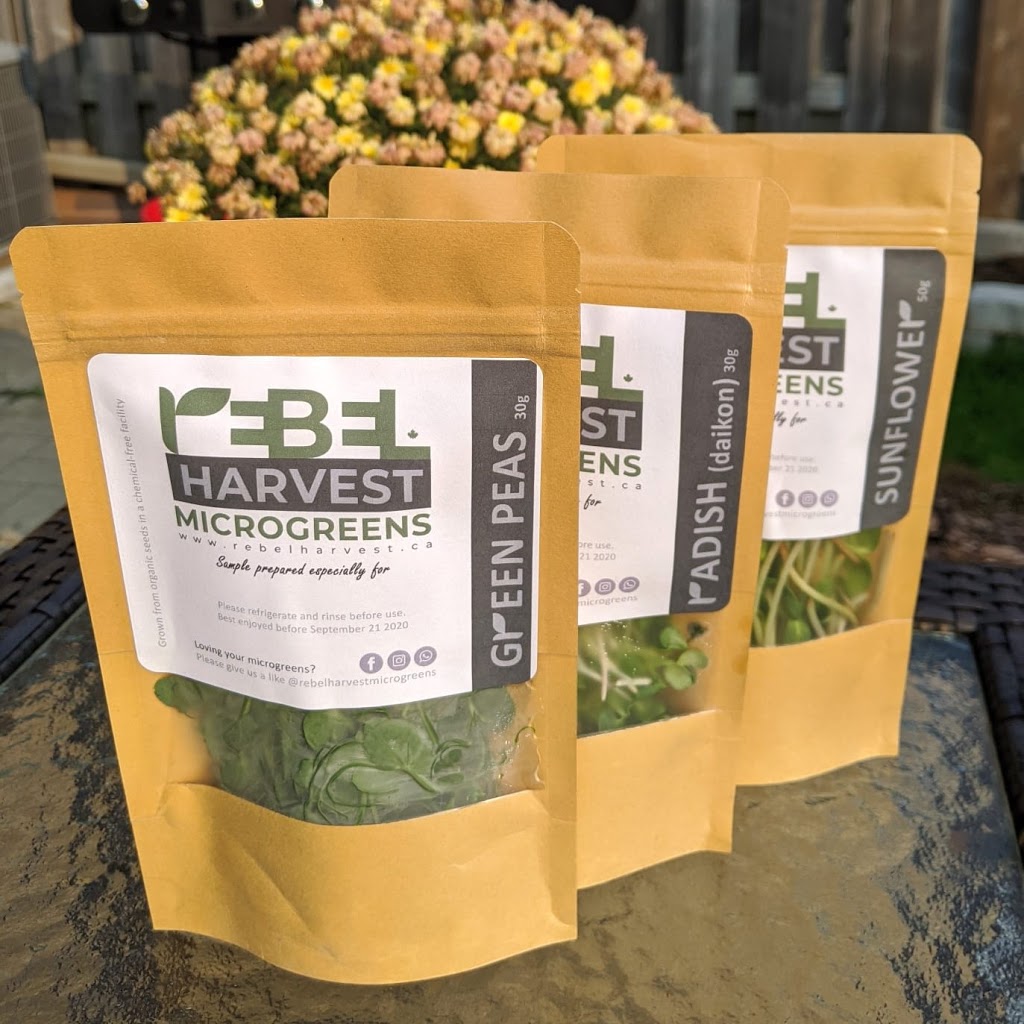 Rebel Harvest Microgreens | 30 Bryan Ct, Kitchener, ON N2A 4J5, Canada | Phone: (647) 860-2130