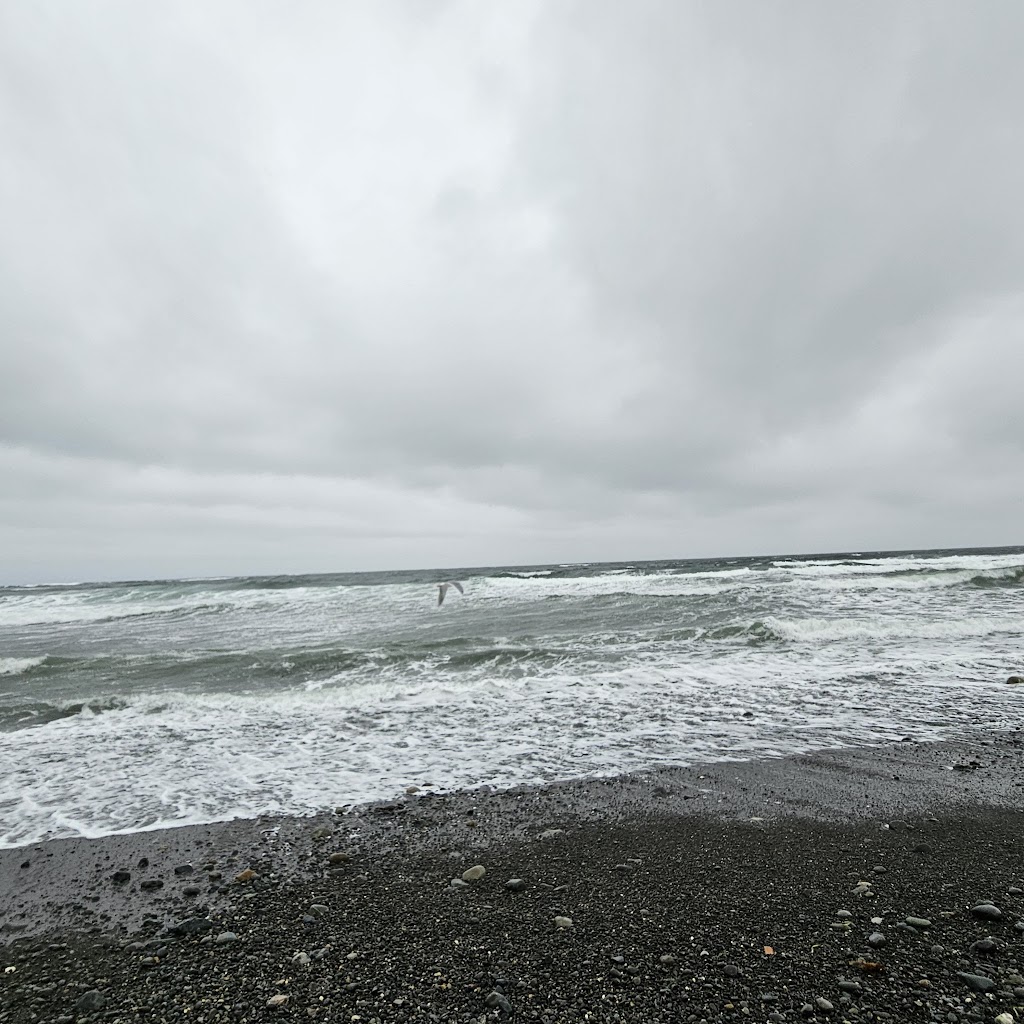 Ocean Resort | 4384 S Island Hwy, Campbell River, BC V9H 1E8, Canada | Phone: (250) 923-4281