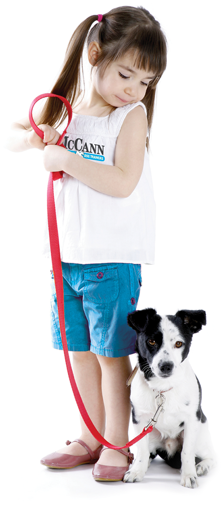 McCann Professional Dog Trainers | Brock Road, Hamilton, ON L9H 5E4, Canada | Phone: (905) 659-1888