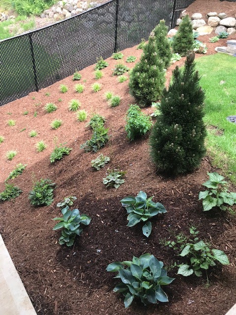 Live Well Landscaping | 4565 Tyler St, Chilliwack, BC V2R 5C1, Canada | Phone: (604) 791-8823
