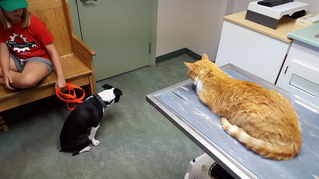 Wellington Veterinary Services | 320 E Mill St, Elora, ON N0B 1S0, Canada | Phone: (519) 846-5327