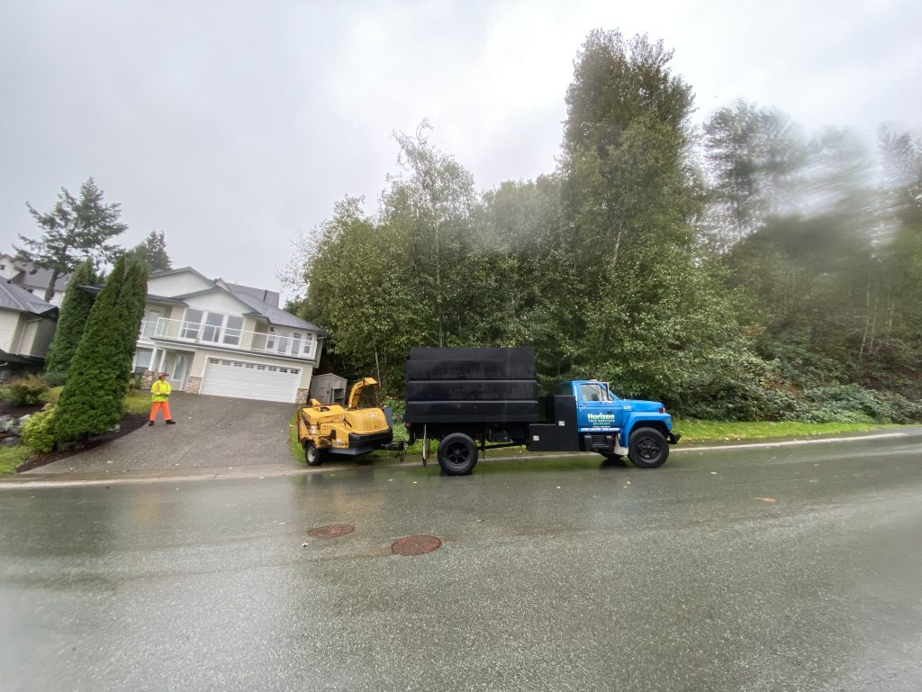 Horizon Tree Services | 10345 Wedgewood Dr, Chilliwack, BC V2P 6C1, Canada | Phone: (604) 791-2021