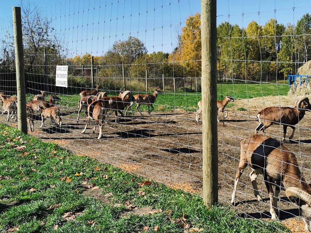 Ranch Dupont | 3590 Rang Saint Michel, Shawinigan-Sud, QC G9N 6T5, Canada | Phone: (819) 534-3717