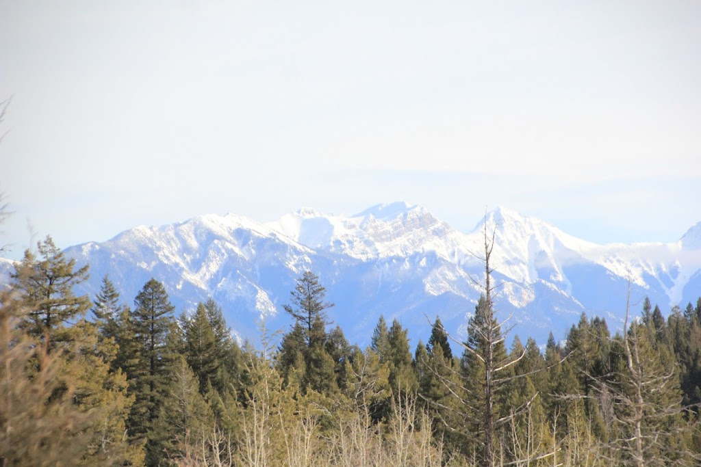 Panorama Resort Interval | 2000 Panorama Dr, Panorama, BC V0A 1T0, Canada | Phone: (250) 341-6151