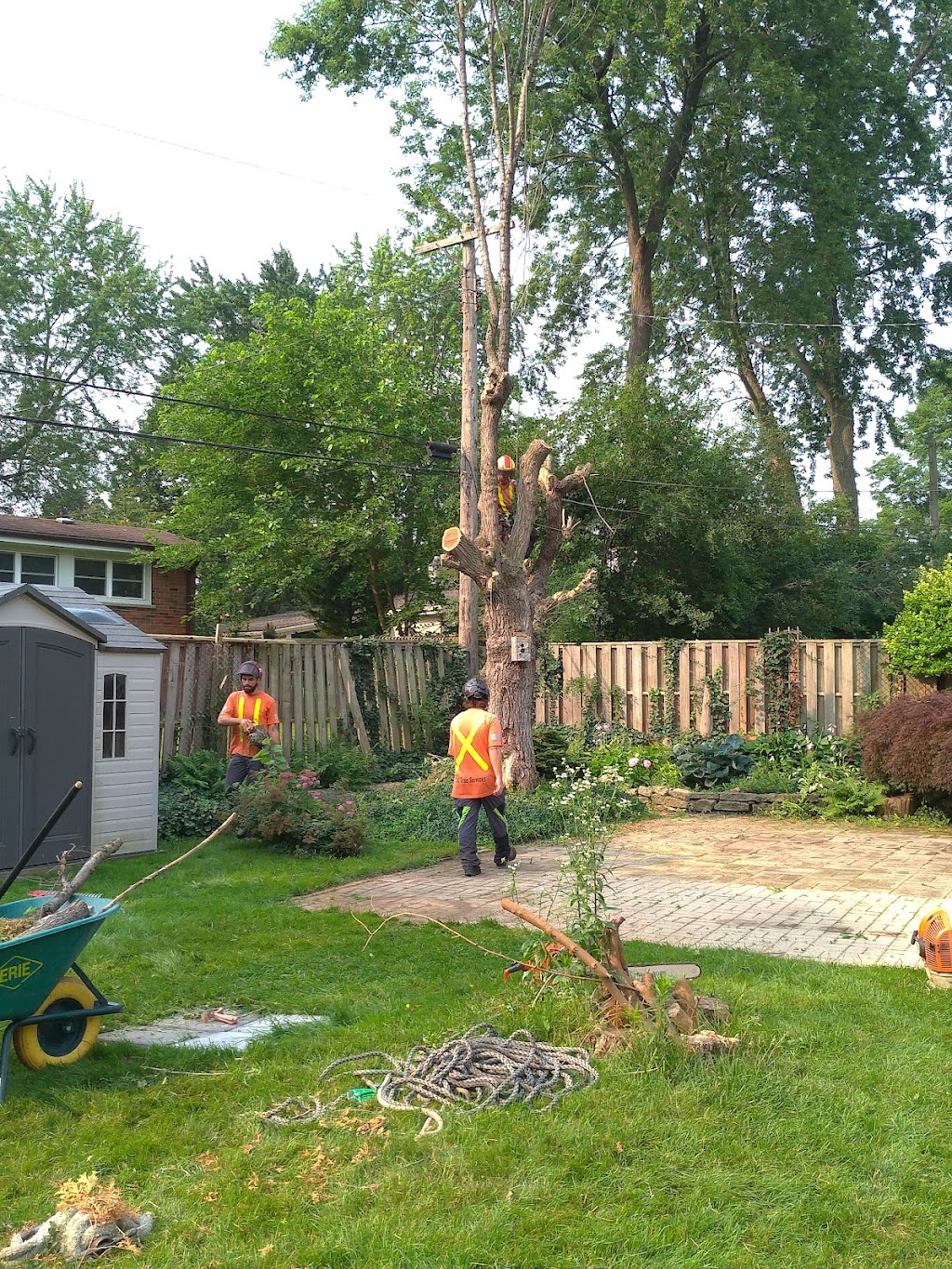 CLC Tree Services Ltd | 7024 Kerr Rd, London, ON N6N 1C5, Canada | Phone: (519) 685-0257
