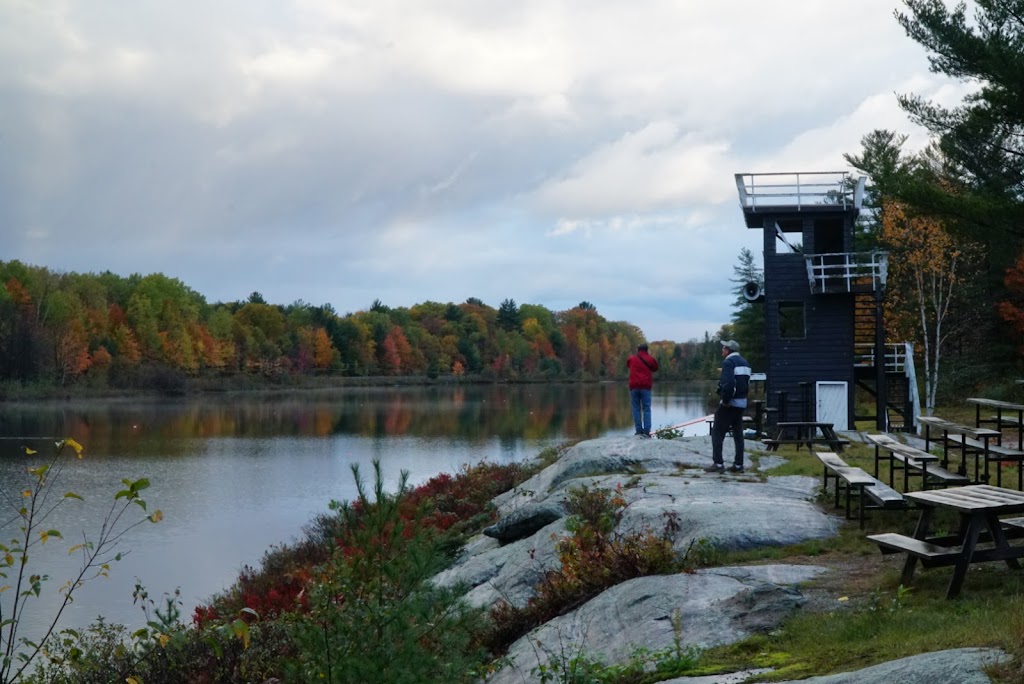Bushs Watersports Park | 3385 Muskoka District Road 169, Bala, ON P0C 1A0, Canada | Phone: (705) 762-5722