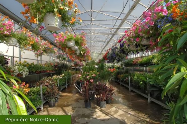 Pépinière Notre-Dame, Botanix | 325 Rue Notre-Dame, Repentigny, QC J6A 2S1, Canada | Phone: (450) 585-3983