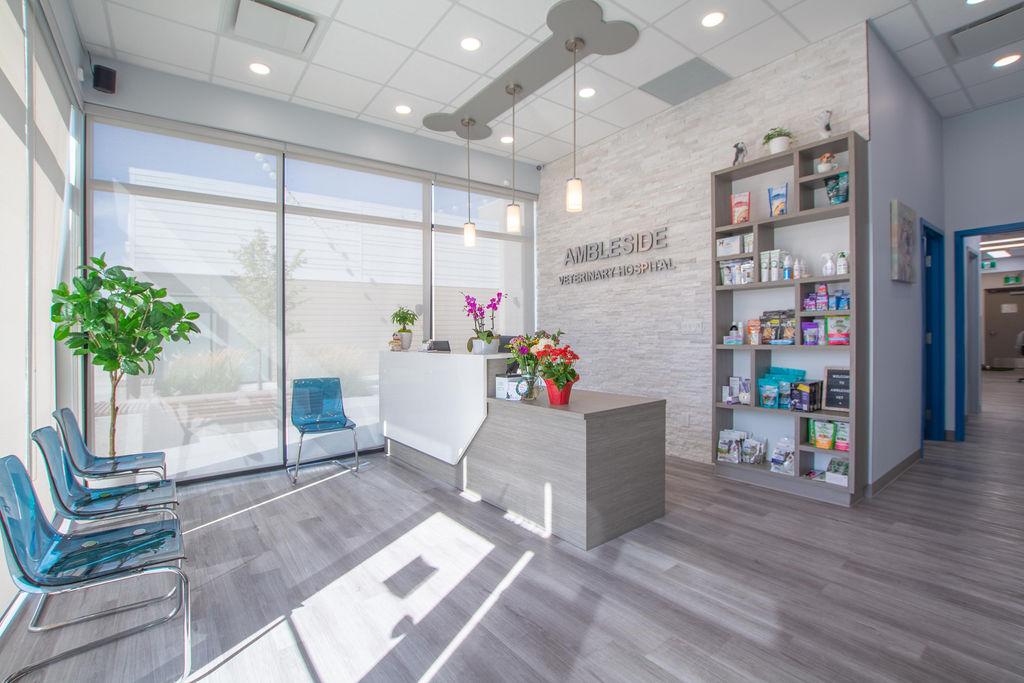 Ambleside Veterinary Hospital | 16412 Ellerslie Rd SW, Edmonton, AB T6W 4S8, Canada | Phone: (780) 433-0300