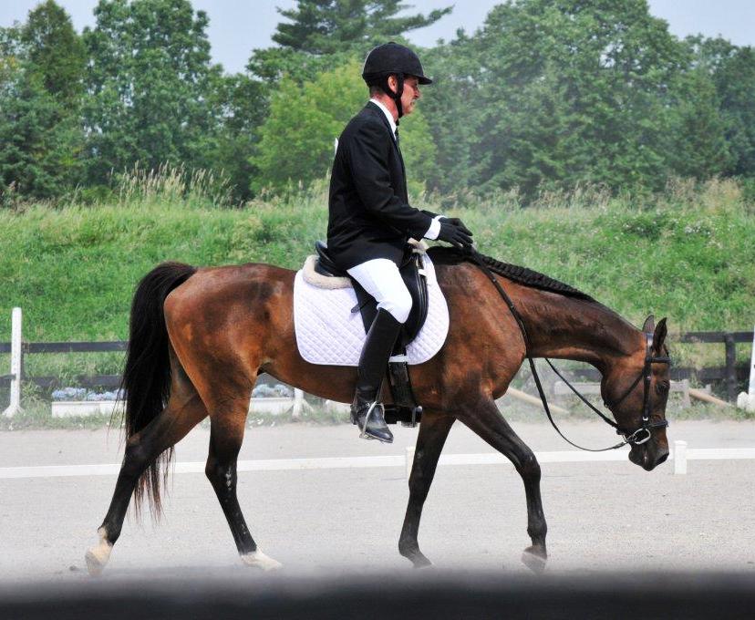 Symphony Stables | 778 County Rd 37, Wheatley, ON N0P 2P0, Canada | Phone: (519) 825-9708