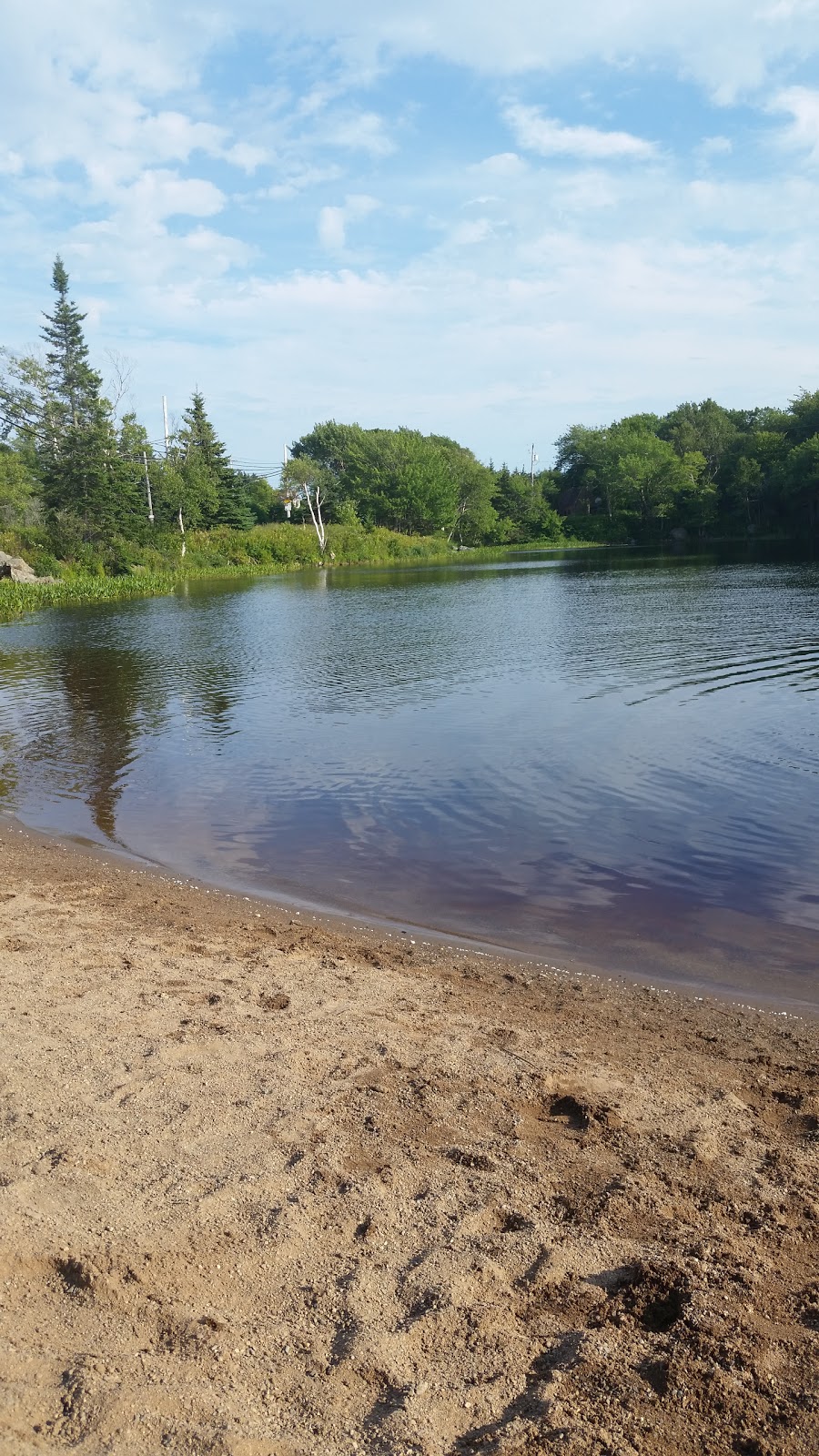 Ground Force Property Services Inc. | 5 Ralston Ave, Dartmouth, NS B3B 1H5, Canada | Phone: (902) 209-2748