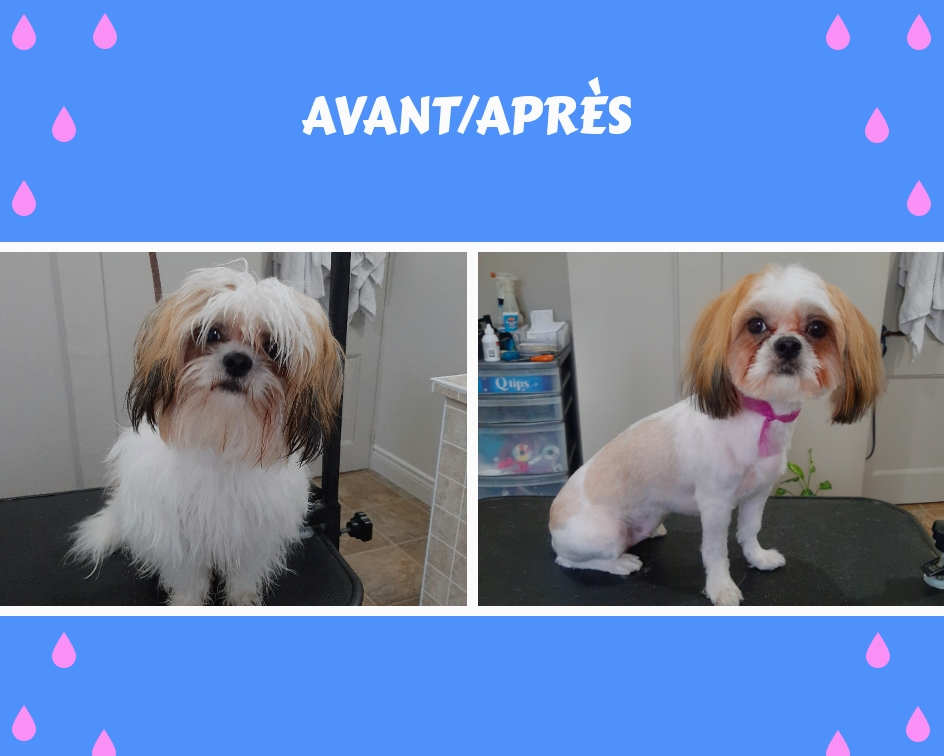 La Coquetterie | 259 1re Avenue N, Saint-Gédéon-de-Beauce, QC G0M 1T0, Canada | Phone: (418) 582-6796