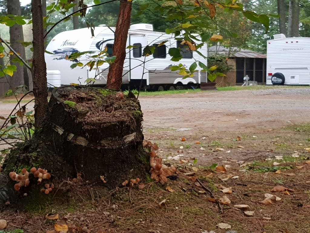 Camping Ange-Gardien | 671 Chemin Lamarche, LAnge-Gardien, QC J8L 0S1, Canada | Phone: (819) 281-5055