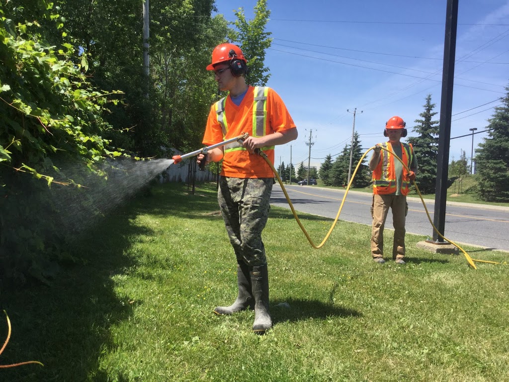 Groupe Arbo-Ressources Inc. | 3035 Rang Saint-Malo, Trois-Rivières, QC G8V 1X8, Canada | Phone: (819) 693-4812